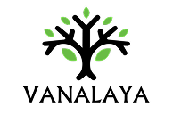kyari brand icon